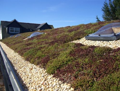 Permaroof Rubbercover EPDM Green roof